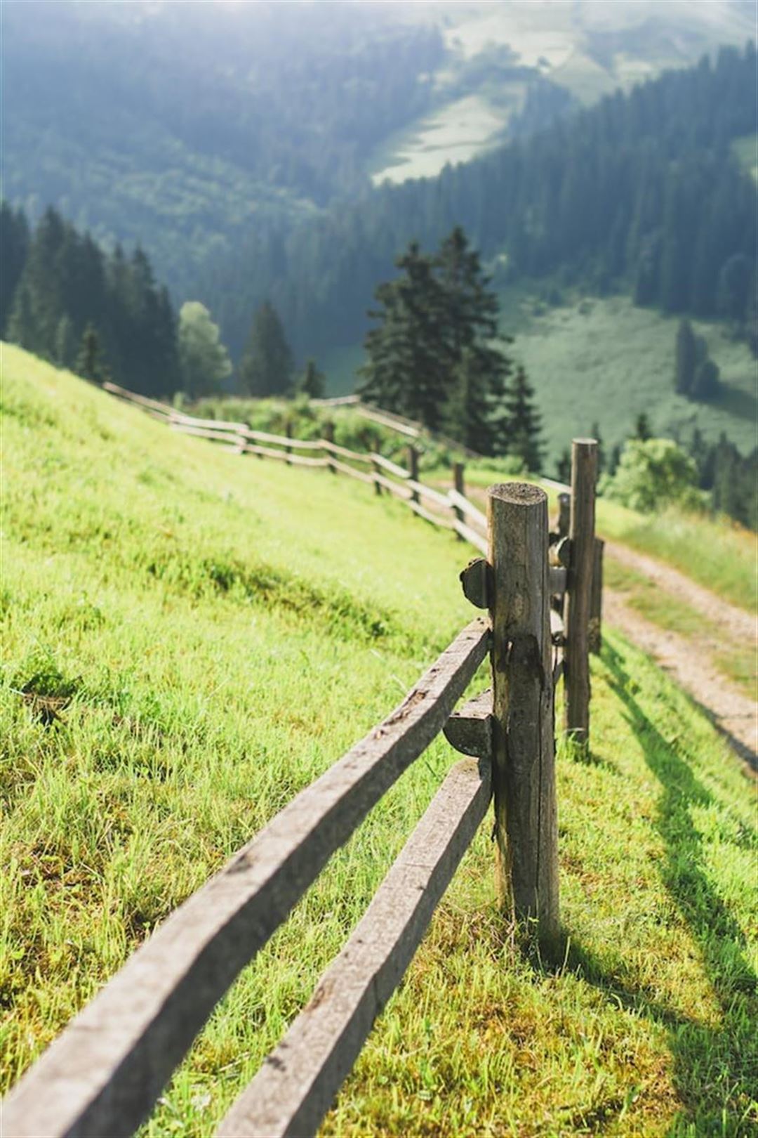 Sallingbo det bedste hegnssystem på landet